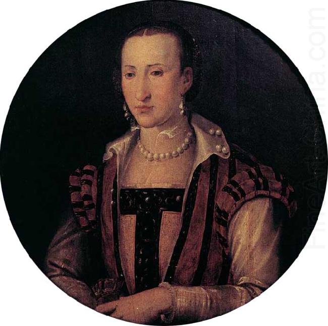 Agnolo Bronzino The Ailing Eleonora di Toledo china oil painting image